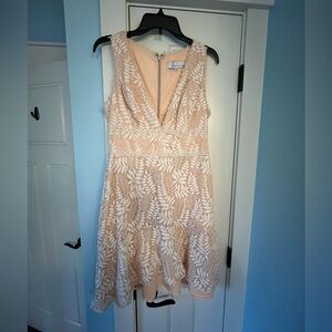 Adelyn   Rae lace cocktail dress . Size medium . Beige dress